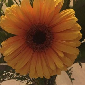 Meet your Posher 🌻